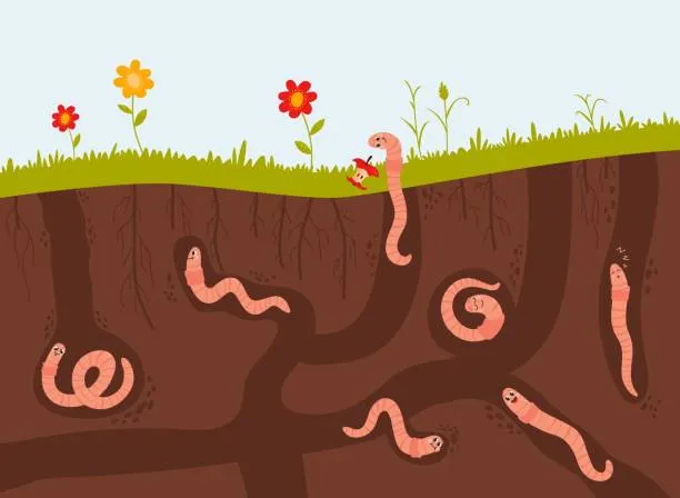 A cartoon view of grass and happy worms in the dirt