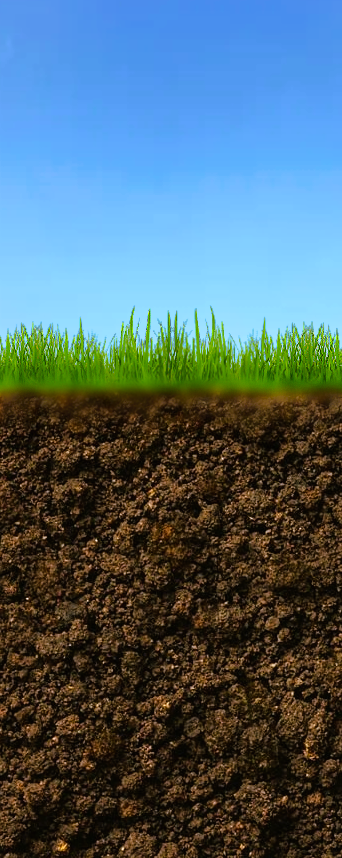 Grass and soil layer